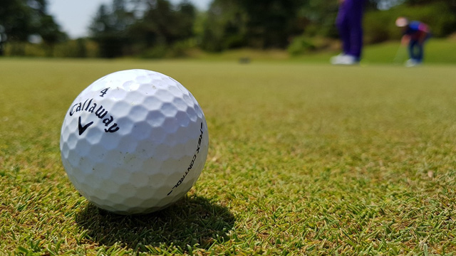 プログレスゴルフスクール（Progress Golf School）公式サイト